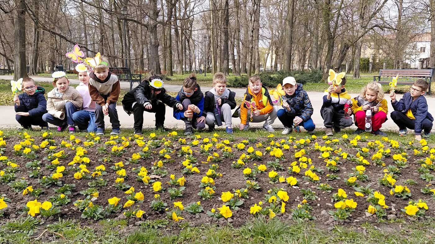 Klasa 1 w terenie – poznajemy wiosenne kwiaty